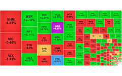 Chứng khoán ngày 13/5: VN-Index giảm nhẹ