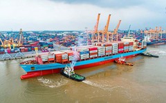 Việt Nam liên tục đón tin vui từ Nhật Bản và Hàn Quốc