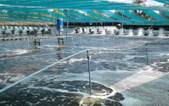 Không phải đất hiếm hay sầu riêng, một mỏ vàng của Việt Nam vừa mang về 1,5 tỷ USD: Mỹ, Trung Quốc đều là ‘khách ruột’, nước ta xuất khẩu đứng thứ 3 thế giới
