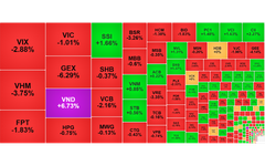Chứng khoán ngày 22/5: VN-Index giảm gần 20 điểm