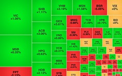Chứng khoán ngày 25/5: VN-Index tăng gần 9 điểm