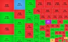 Chứng khoán ngày 5/5: Cổ phiếu nhà Vingroup 'kéo' VN-Index tăng 20 điểm