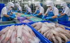 Việt Nam đón tin vui cùng lúc từ Hàn Quốc và Nhật Bản
