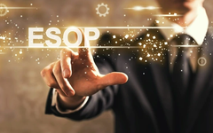 REE muốn phát hành ESOP