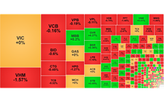 Chứng khoán ngày 11/6: VN-Index lại rời khỏi mốc 1.800 điểm