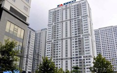 Biến động sở hữu của nhóm quỹ ngoại tại Taseco Land