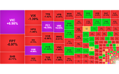 Chứng khoán ngày 18/6: VN-Index vươn lên 1.830 điểm
