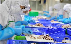 Nông sản Thực phẩm Cà Mau bị phạt vì chậm công bố thông tin