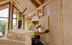 Phát minh làm rung chuyển ngành xây dựng: biến nấm thành gỗ, năng suất cao nhưng chi phí thấp