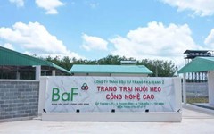 Baf Việt Nam chốt quyền nhận cổ phiếu thưởng và cổ tức tổng tỷ lệ 20%