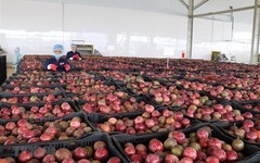 Một 'báu vật' triệu USD của Việt Nam được Trung Quốc liên tục săn đón, nước ta là nhà xuất khẩu top 10 thế giới