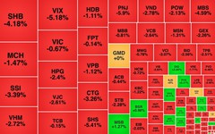 Chứng khoán ngày 13/7: VN-Index 'lùi' về mốc 1.800 điểm