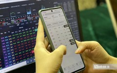 Xử phạt 2 doanh nghiệp vi phạm công bố thông tin