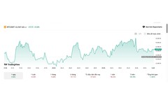 Tình hình bitcoin sau cú lao dốc 28%
