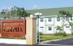 Vidipha chốt ngày chào bán gần 10 triệu cổ phiếu cho cổ đông