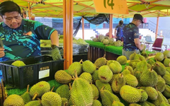 Quá nhiều sầu riêng, một đối thủ của Việt Nam tính mở tuyến đường bộ sang Trung Quốc để giảm chi phí, đang xuất khẩu 40 tấn mỗi ngày bằng máy bay