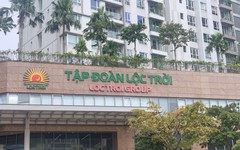 Chậm công bố một số BCTC, Lộc Trời bị xử phạt hành chính