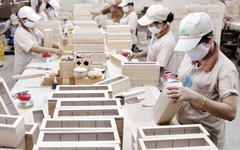 Trung Quốc thích mê một mặt hàng của Việt Nam: Vượt Nhật Bản, chi hơn 1,3 tỷ USD/6 tháng để nhập khẩu