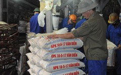 Phân lân Văn Điển sắp trả cổ tức bằng tiền mặt tỷ lệ 10%