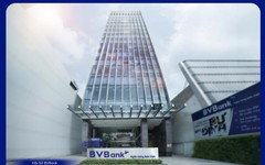 BVBank: Lợi nhuận 6 tháng cao gấp gần 5 lần cùng kỳ, hoàn thành 80% kế hoạch cả năm