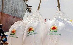 Lộc Trời giải trình gì về việc cổ phiếu bị đình chỉ giao dịch?