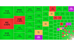 Chứng khoán ngày 10/8: VN-Index tăng 8 điểm