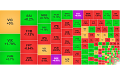 Chứng khoán ngày 11/8: VN-Index giảm nhẹ