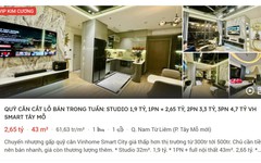 Vay hơn 50% giá trị bất động sản - Chuyên gia khuyến cáo: Không đủ sức cầm cự 1-2 năm tới, cần sớm tái cơ cấu