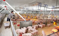 Công ty Khánh Tân bị phạt vì chậm công bố thông tin