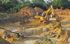 Phát hiện một vùng đất chứa vàng kéo dài 6km, chuẩn bị khoan thăm dò 5.000m để kiểm tra