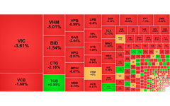 Chứng khoán ngày 14/8: VN-Index về dưới 1.730 điểm