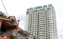 Quốc Cường Gia Lai thay người đại diện phần vốn tại chủ đầu tư Marina Complex