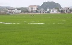 Khu đô thị của Vicem Hoàng Mai ở Nghệ An được yêu cầu đẩy nhanh tiến độ Thanh tra