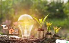 Lịch chốt quyền trả cổ tức trong tuần từ ngày 3/8-7/8, tỷ lệ cao nhất 100%