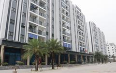 Tiềm lực chủ đầu tư Khu nhà ở xã hội phường Phương Liễu hơn 1.550 tỷ đồng