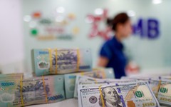 Lãi suất ngân hàng 20/8 tại MB, Sacombank, HDBank, Agribank, Vietcombank, BIDV, VietinBank,...