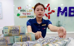 Lãi suất ngân hàng 24/8 tại Agribank, Vietcombank, BIDV, VietinBank, MB, Sacombank, HDBank,...