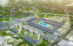 Tân Liên Phát Tân Cảng lỗ lũy kế hơn 180 tỷ đồng