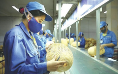 Chiếm 94% số doanh nghiệp Việt Nam, nhưng chỉ hơn 20% doanh nghiệp vừa và nhỏ tiếp cận được vốn vay