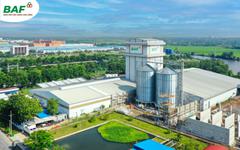 Doanh thu bứt phá, Baf Việt Nam vẫn báo lãi ròng quý II/2026 ‘bốc hơi’ 50%