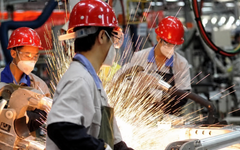 155.300 doanh nghiệp rút lui khỏi thị trường trong 7 tháng đầu năm 2026