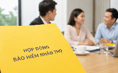 Lãi lớn tại Việt Nam, một công ty bảo hiểm nhân thọ mới chuyển hơn 5.000 tỷ về nước, lợi nhuận tích lũy vẫn còn 19.000 tỷ