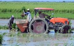 Cuba vừa đón tin cực vui, một doanh nghiệp Việt góp công lớn