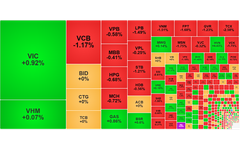 Chứng khoán ngày 5/8: VN-Index giảm nhẹ
