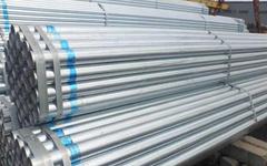 Thép Thăng Long được gia hạn gần 20.000m2 đất tại phường Việt Hưng