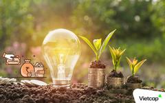 Lịch chốt quyền trả cổ tức trong tuần từ ngày 10/8-14/8, tỷ lệ cao nhất 100%