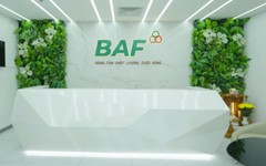 BAF Việt Nam bổ nhiệm Phó Tổng Giám đốc