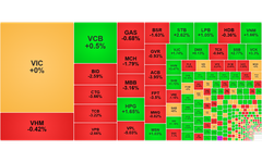 Chứng khoán ngày 18/9: VN-Index giảm 7 điểm