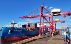 Pakistan săn chục nghìn tấn 'vàng xanh' của Việt Nam: thuế nhập khẩu 0%, Việt Nam là ông trùm đứng thứ 5 thế giới