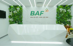 BAF Việt Nam dự kiến phát hành 8 triệu cổ phiếu ESOP